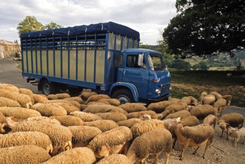 Le transport des animaux....tous à vos bétaillères ! - Page 5 0_1_152