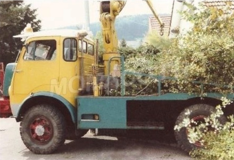 Le BERLIET GLB 18 4x4 "HUILES BERLIET" 494