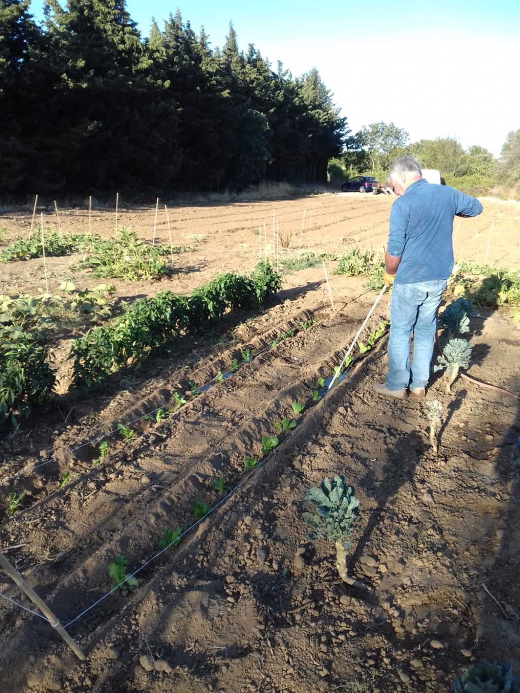 jardin partagé Jardin35