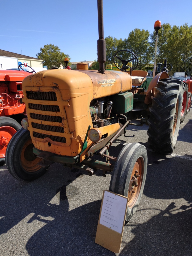 84 - la Foire de MONTEUX le 29 Sept 2019 Jardin94