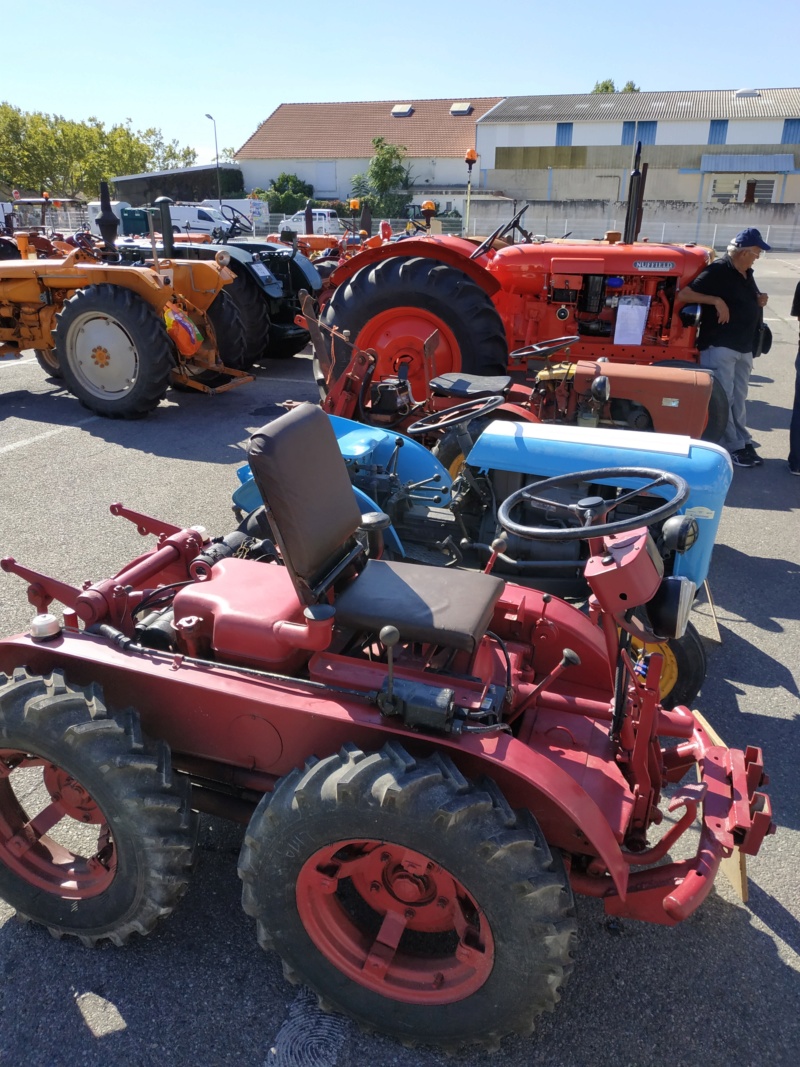 84 - la Foire de MONTEUX le 29 Sept 2019 Jardin95