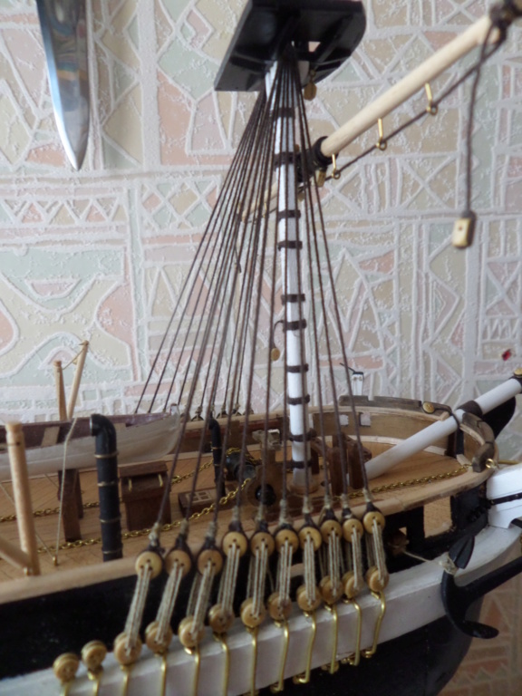 HMS Terror (OcCre 1/65°) montage pour notre partenaire par Pipr - Page 6 Sam_6314