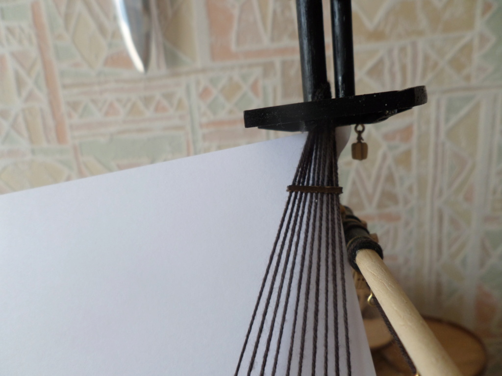HMS Terror (OcCre 1/65°) montage pour notre partenaire par Pipr - Page 6 Sam_6317