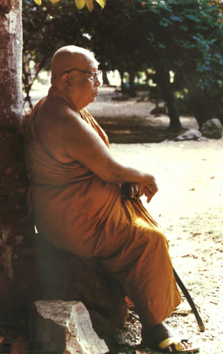 Vivre au présent, sans passé, sans futur Buddha15