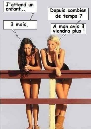 Humour en image du Forum Passion-Harley  ... - Page 16 36628010