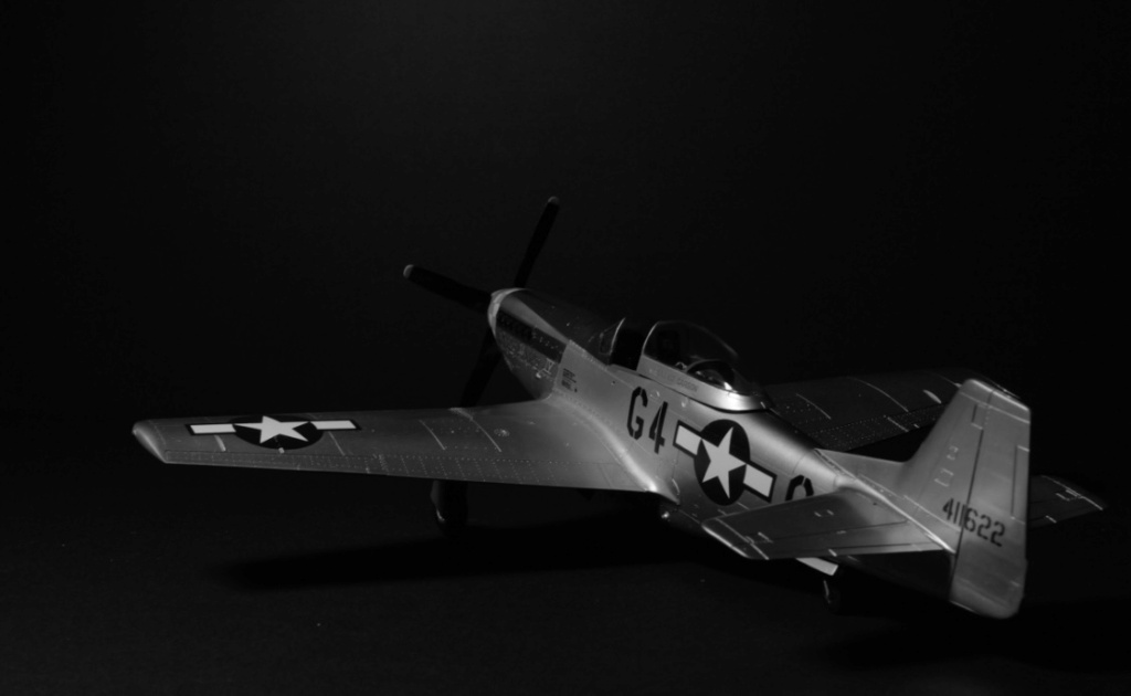 P-51D Tamiya 1/48 Dd87c010