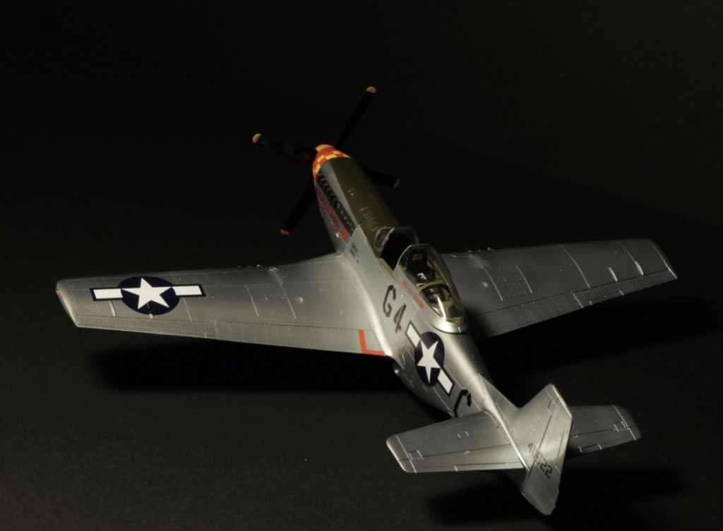 P-51D Tamiya 1/48 E046d510