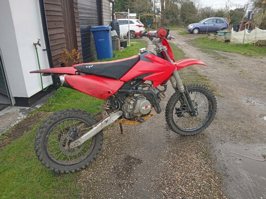 Who wants a cheap pitbike? Pitty10