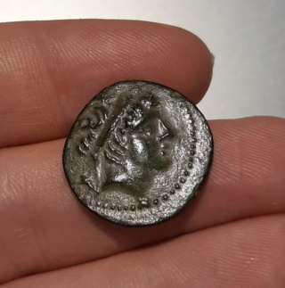 Bronze Antiochus IX Eusebes Philopator ? 20200713