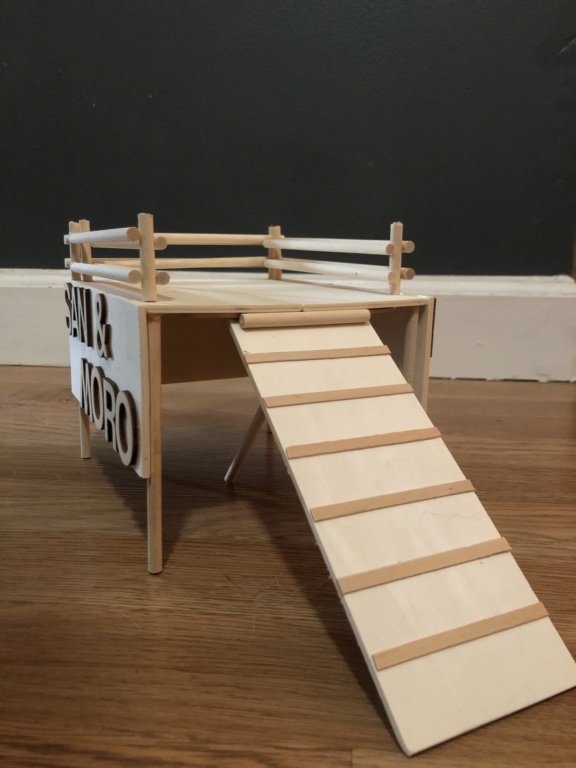 My first mouse house! 699b2210