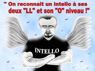 E ZEMMOUR CANDIDAT ? Intell15