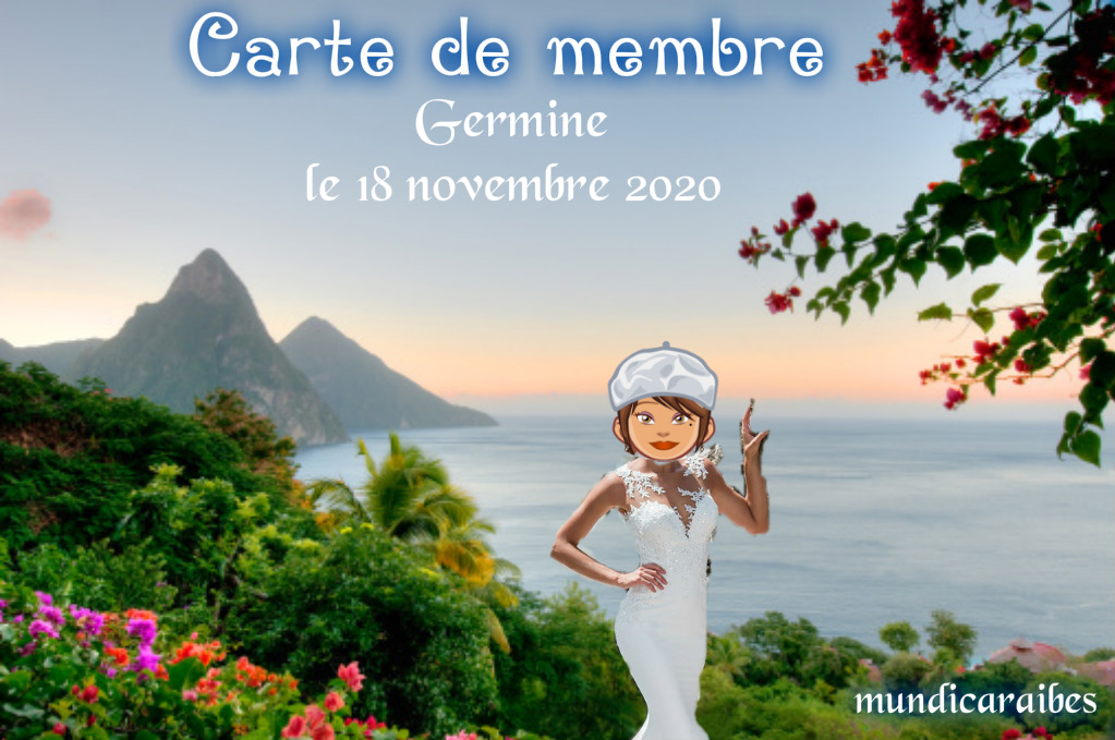 carte de membre Carte_17