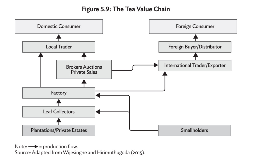 A Look at Supply Chain Issues the Tea Industry Is Grappling with in 2022  Screen78