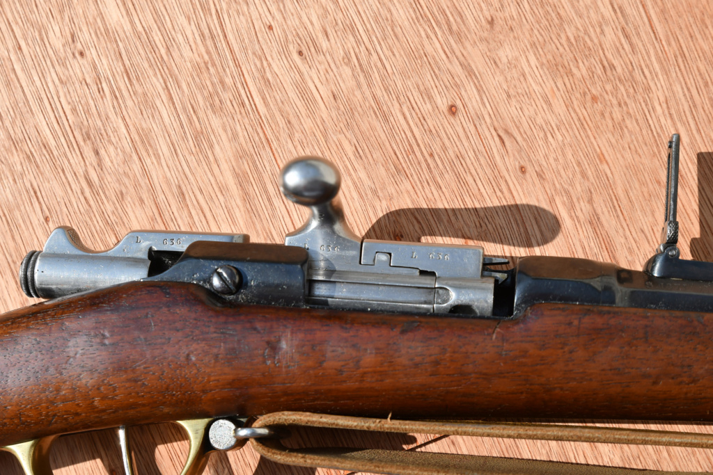 Chassepot 866-74 et Gras 1874 Dsc_5227
