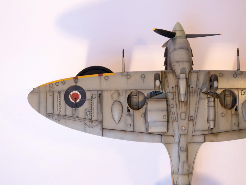 Spitfire Mk Vb au 1/48 Tamiya ( EN821 SN-M 243 Sqn)  7_img_10