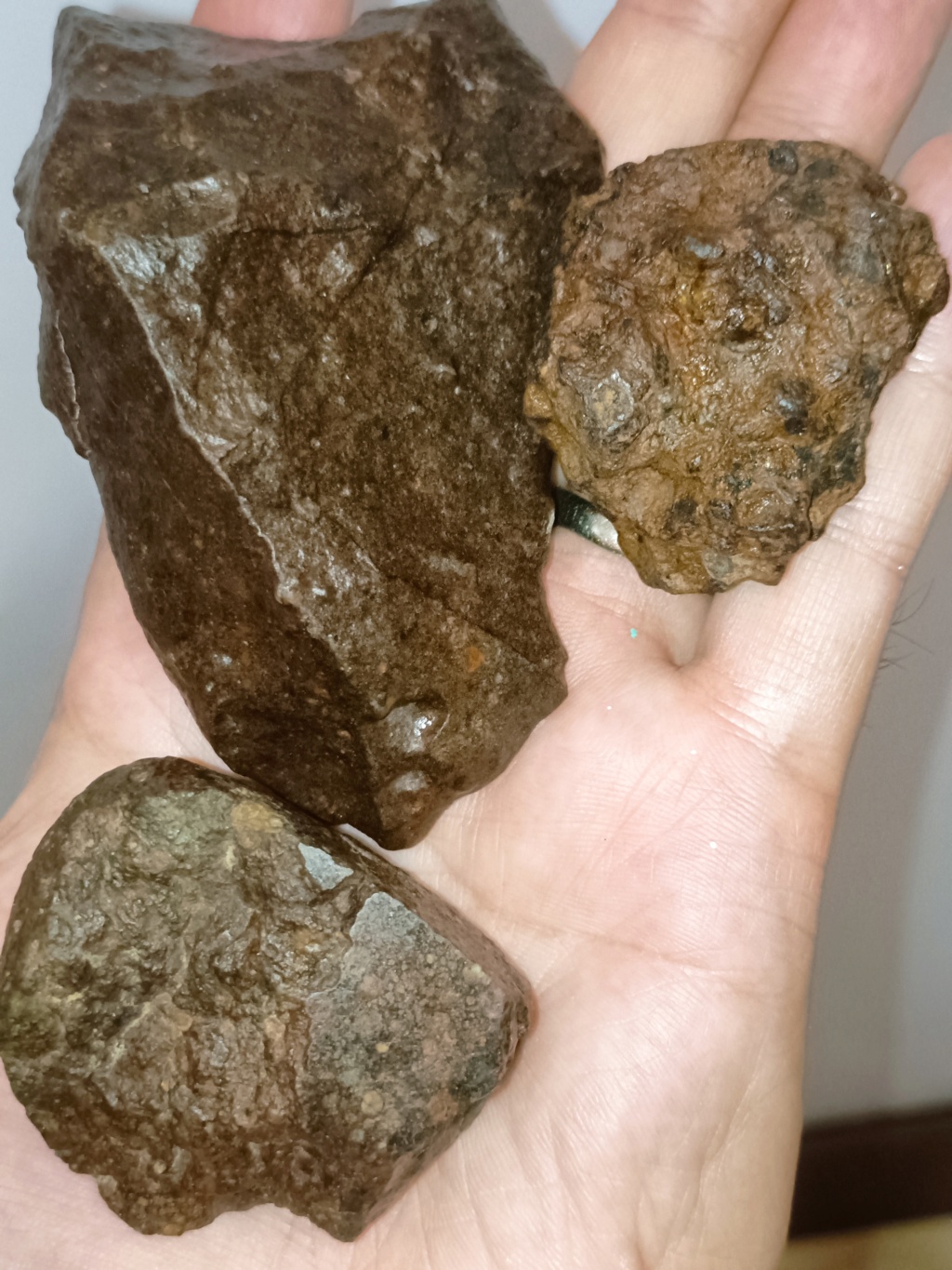 Suspected meteorite  - Page 2 Img20215