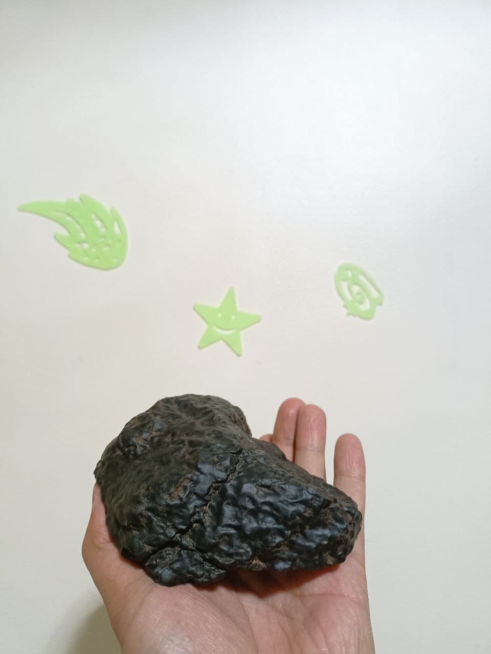 Suspected meteorite  Photo_10