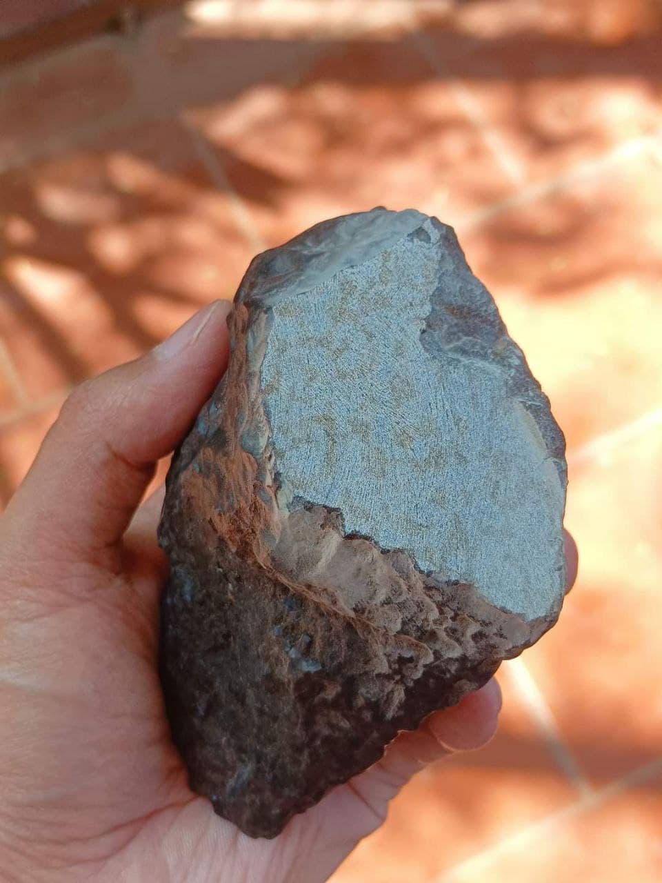 Suspected meteorite  Photo_16