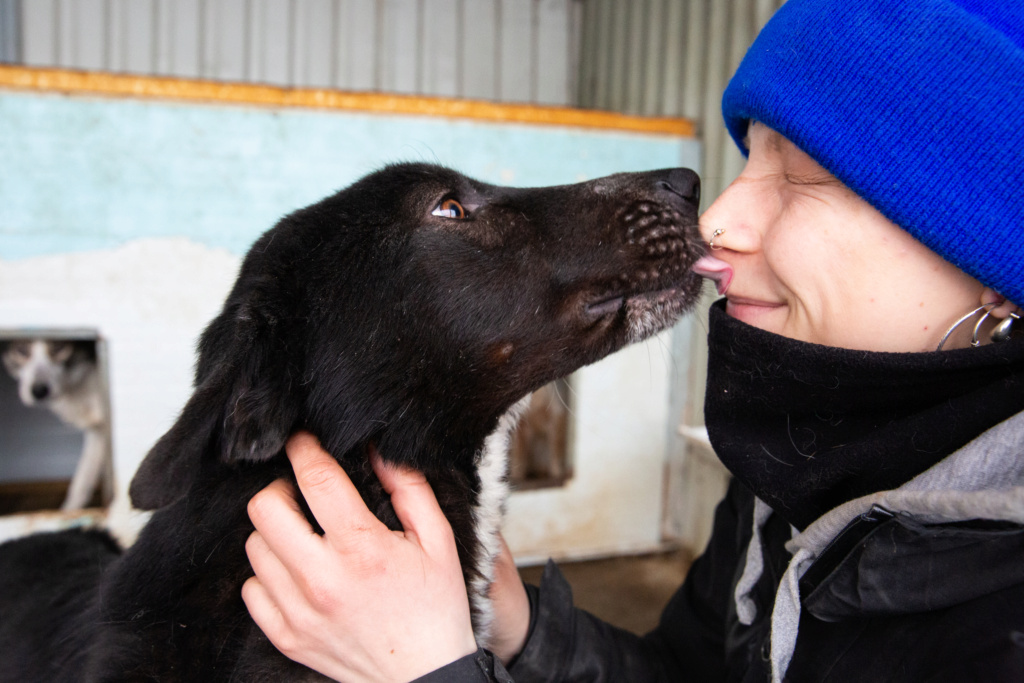 BOWSER - URGENCE - mâle, de taille moyenne à grande - né environ en avril 2019 - REMEMBER ME LAND/RESERVÉ EN FA PAR Nathalie (suisse) DÉCÉDÉ  Ed4b0414