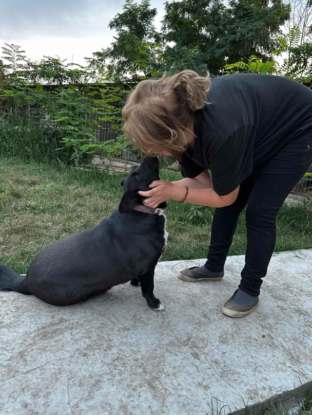 TONKA/Male / né vers 2018/taille moyenne / Rece2031