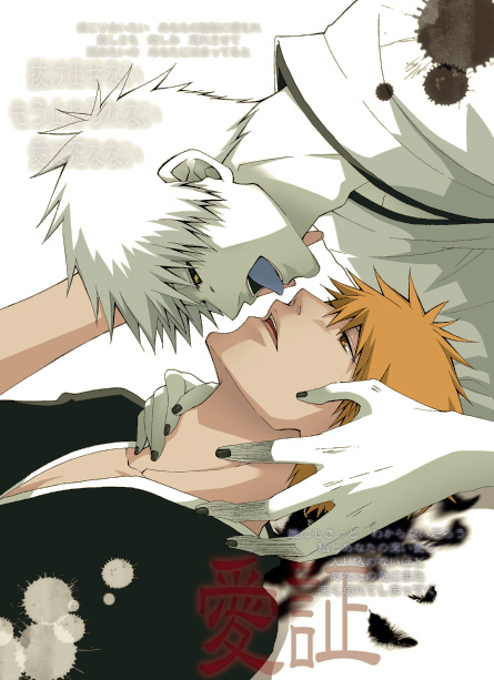 Ichigo x Hichigo [Bleach] 11281410