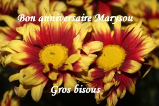 Marysou Fleurs11