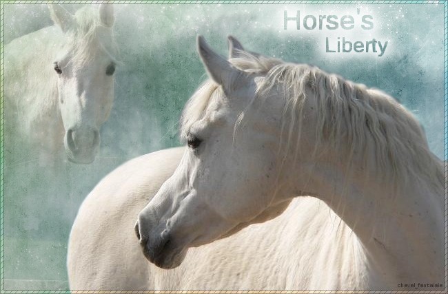 Horse's Liberty
