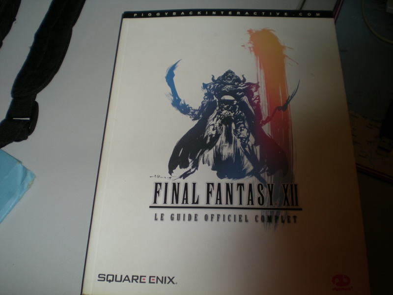 Final Fantasy Forever Dscn1115