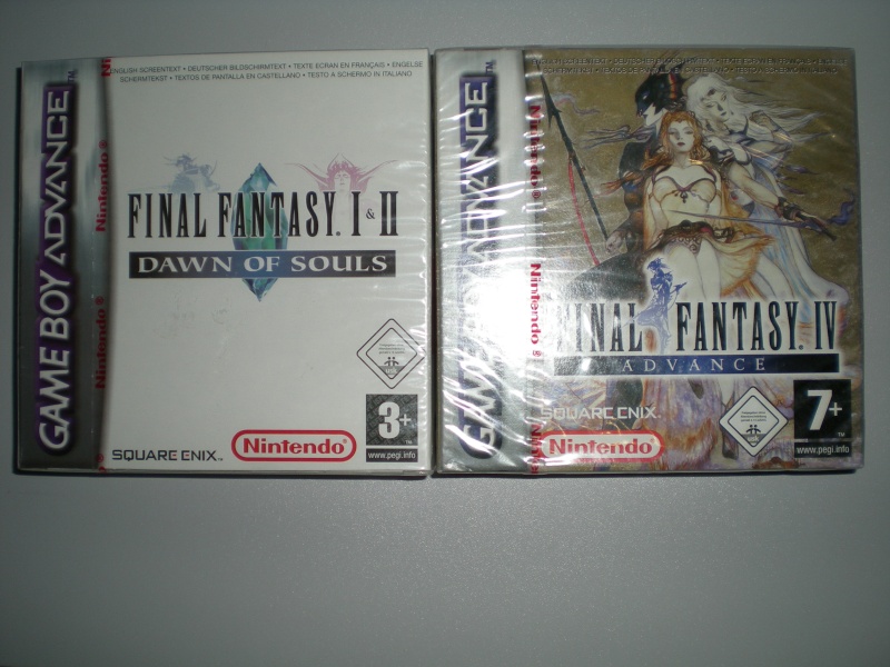 Final Fantasy Forever Dscn1152
