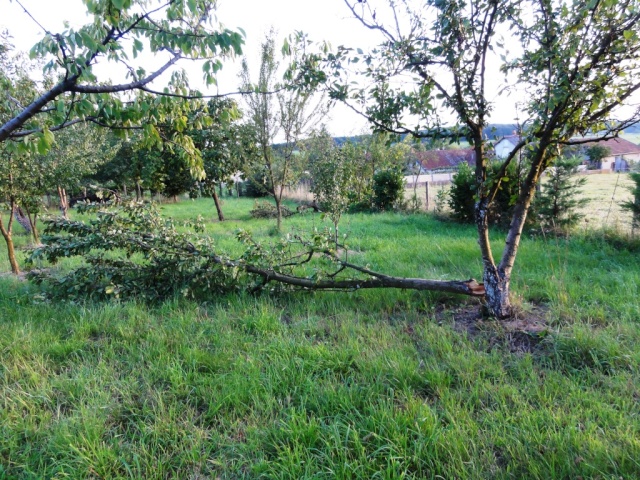 Un violent orage sur ma commune Dsc09510