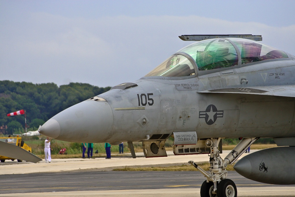 F-18 - Page 9 Img_8010