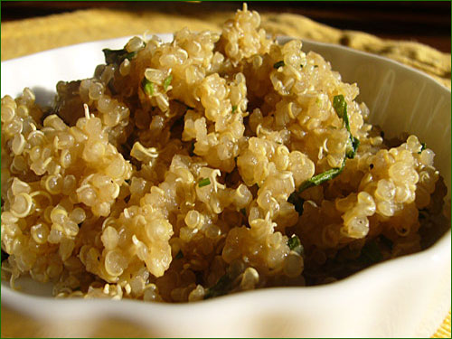 La Quinoa, plante sacrée des Incas As038_13