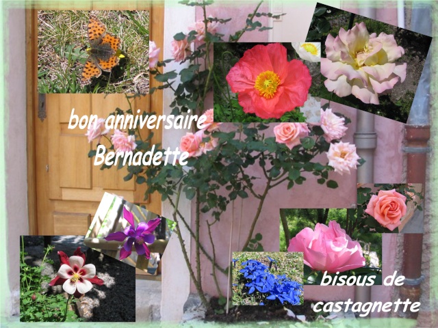 Joyeux anniversaire Bernadette Bernad10