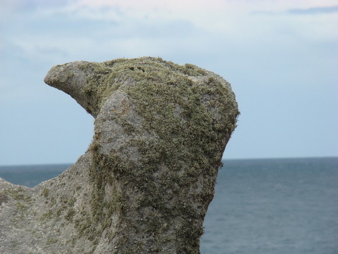 balade face àl'île  vierge Dsc01230