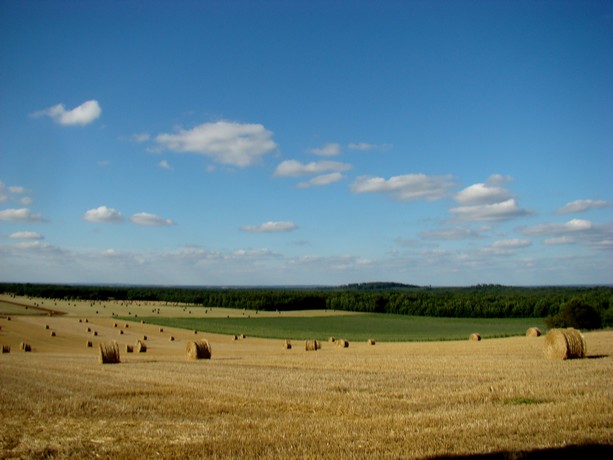 un 19 juillet en charente Dsc08025