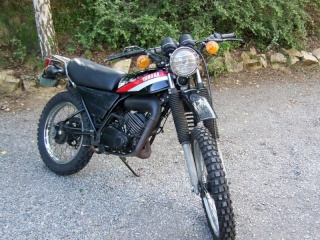 DTMX 125cc Membres / Mod. 1980 100_1310