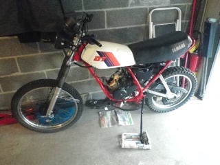 DTMX 125cc Membres / Mod. 1981 12041510