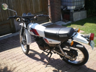 DTMX 125cc Membres / Mod. 1981 Imgp2910