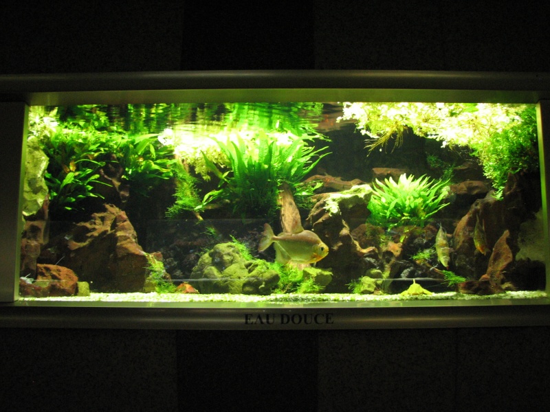 Aquarium de Nancy (photo inside) 0308_115