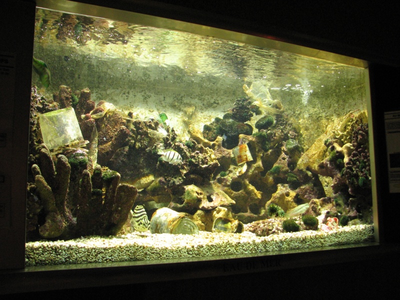 Aquarium de Nancy (photo inside) 0308_120