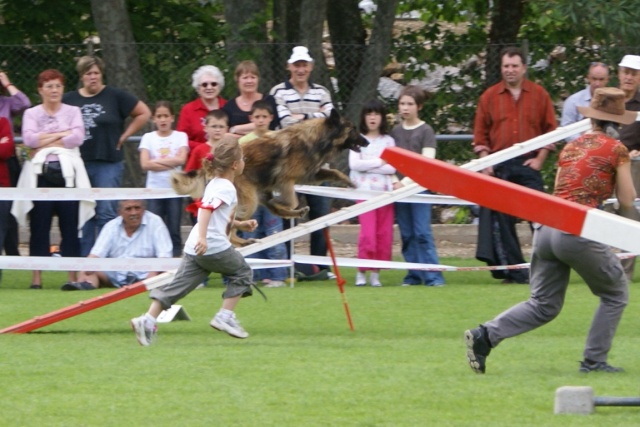 Lucie, 1er concours d'agility Dsc08310