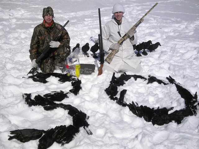 Première chasse à la corneille Result10