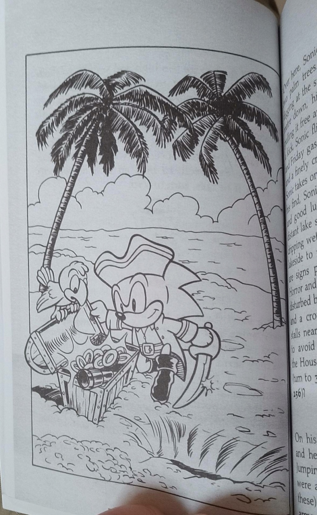 [Image: 46157510.jpg]