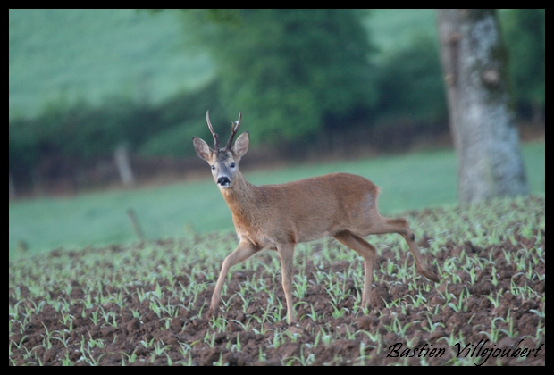 Rencontre de ce matin Brocar10