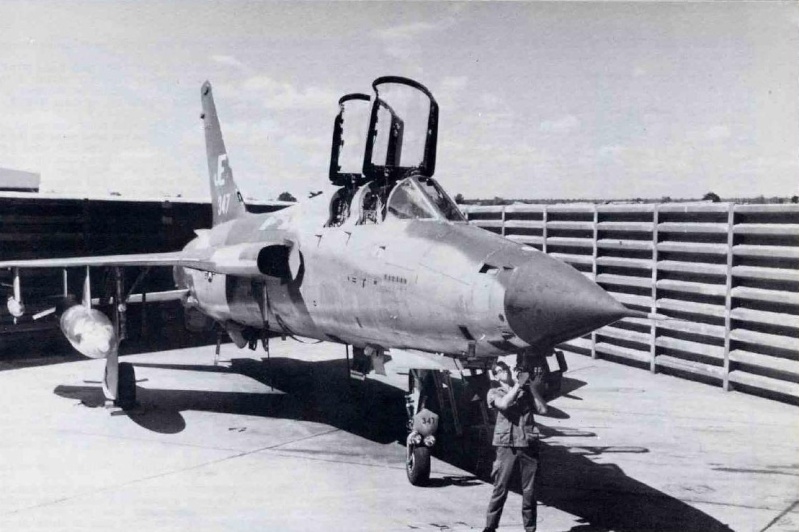 [HobbyBoss] Republic F-105D THUNDERCHIEF  1/48  Projet10