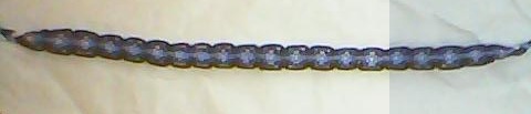 momo329 : Mes bracelets :) Bracel33