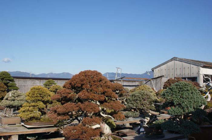 Chez M. Urushibata Resize93