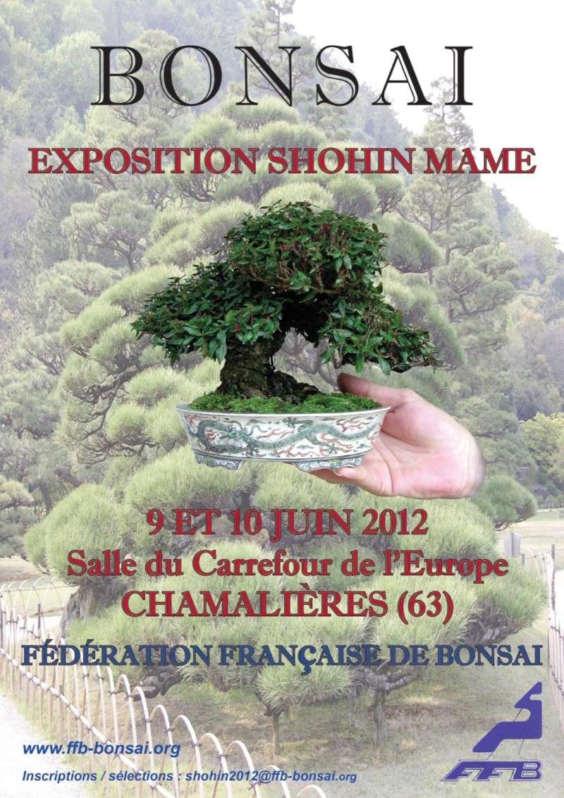 9 et 10 juin 2012 - Chamalières - Shohin Shohin10