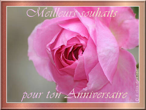 Joyeux Anniversaire Carole