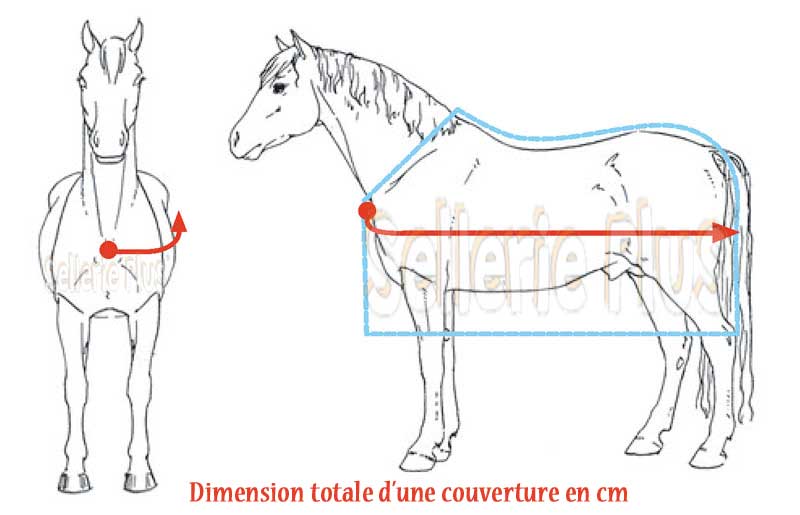 Couverture pour cheval qui vieillit - Page 2 Mesure10